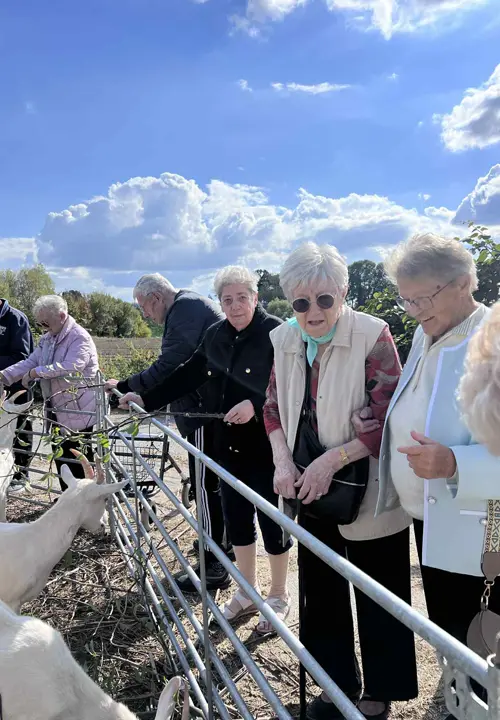 Activité au Manoir Notre Dame