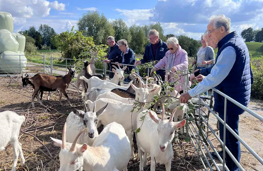 La nature comme horizon